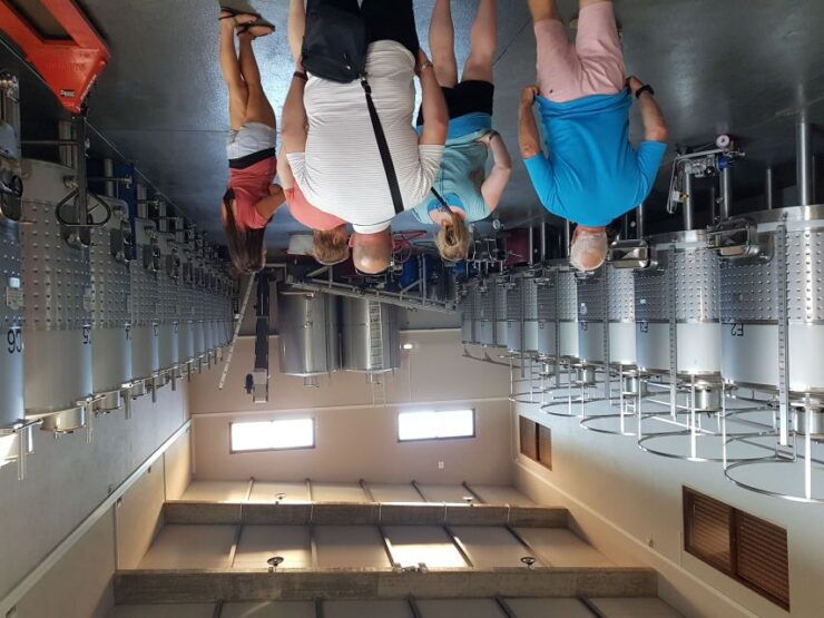 From Lagos: Private Algarve Wineries Tour With Tastings - Booking Information