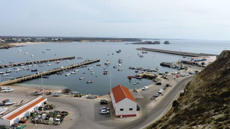 From Lagos: Private Lagos & Sagres Tour - Who Would Love This Tour?