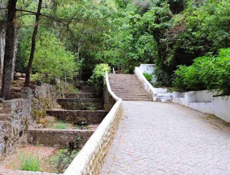 From Lagos: Private Tour with Medronho Tasting - A Detailed Look at the Lagos Private Tour with Medronho Tasting