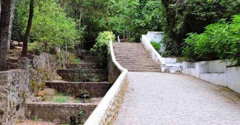 From Lagos: Private Tour with Medronho Tasting - Exploring the Itinerary in Detail