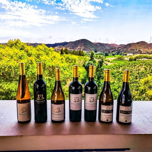 From Lagos: Small-Group 4-Hour Wine Tasting Tour - Tour Highlights