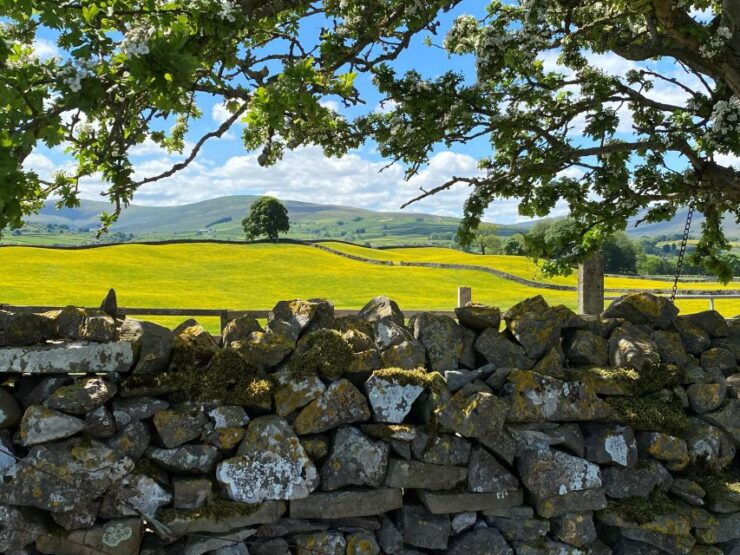 From Lake District: Full-Day Yorkshire Dales Tour - Highlights