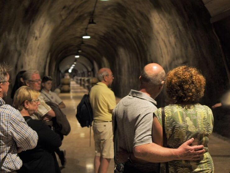 From Lake Garda: Valpolicella Wine & Lunch Guided Trip - Good To Know