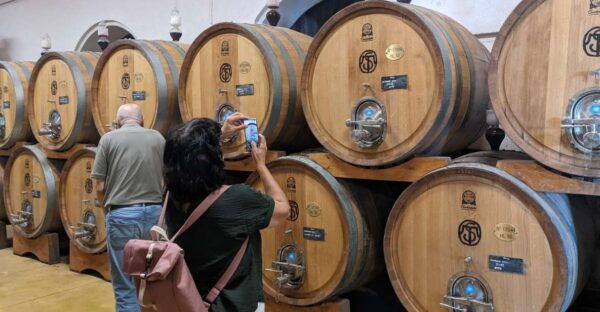 From Lake Garda: Valpolicella Wine & Lunch Guided Trip - Booking and Cancellation