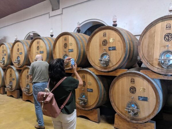 From Lake Garda: Valpolicella Wine & Lunch Guided Trip - The Sum Up