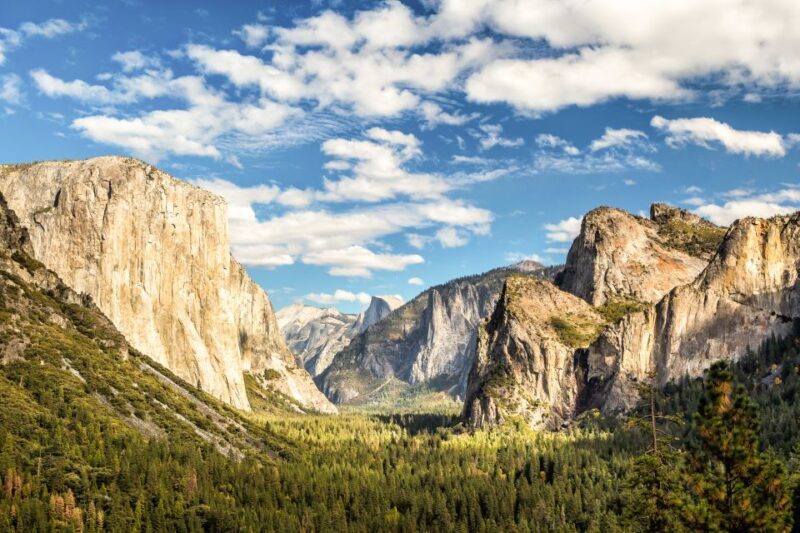 From Lake Tahoe: Yosemite National Park Day Trip with Lunch - Who Should Consider This Tour?