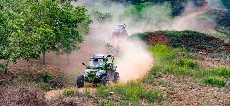 From Lamezia Terme: Buggy Tour - Good To Know