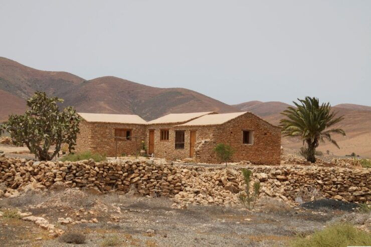 From Lanzarote: Fuerteventura Day Trip - Activity Details