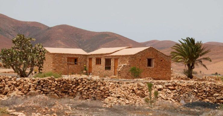 From Lanzarote: Fuerteventura Day Trip - Experience Highlights