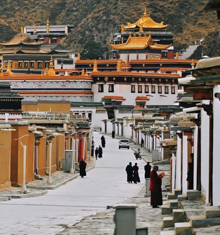 From Lanzhou: Labrang Monastery & Sangke Grassland Day Tour - Who Would Love This Tour?