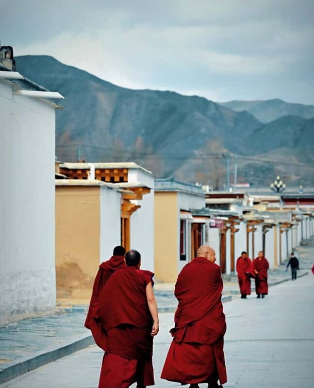 From Lanzhou: Labrang Monastery & Sangke Grassland Day Tour - The Sum Up