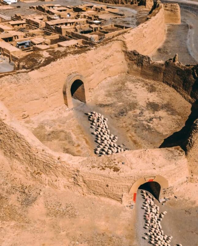 From Lanzhou: Yellow River Stone Forest & Yongtai Old City - An In-Depth Look at the Tour Experience