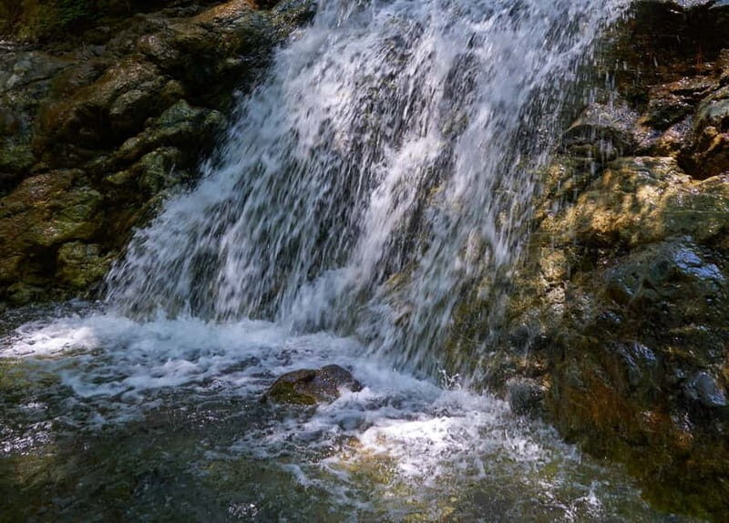 From Larnaca Bay: Grand Tour Jeep Safari - Who Will Love This Tour?
