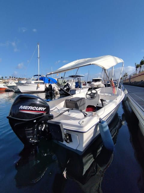 From Las Palmas : Day Sailing Experience Along the Coast - Itinerary and Activities