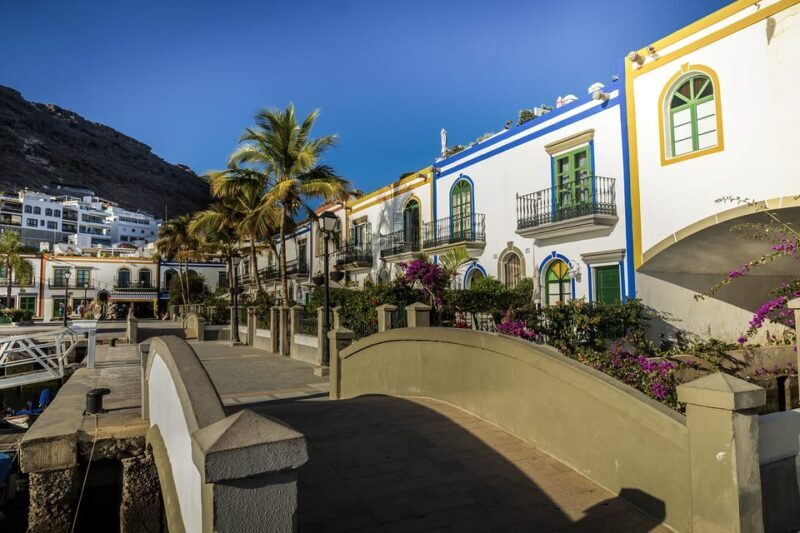 From Las Palmas: Fataga, Aloe Vera Farm, and Puerto de Mogán Market - Is This Tour Worth It?