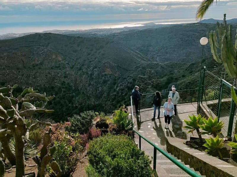 From Las Palmas: Half day tour Volcano Bandama & Vineyard - Introduction