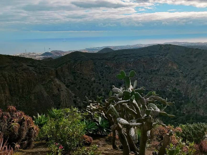 From Las Palmas: Half day tour Volcano Bandama & Vineyard - Starting Point and Transport