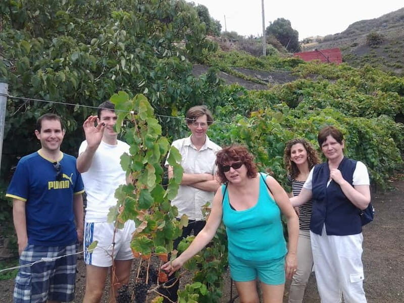 From Las Palmas: Half day tour Volcano Bandama & Vineyard - Visiting a Historic Vineyard and Wine Tasting