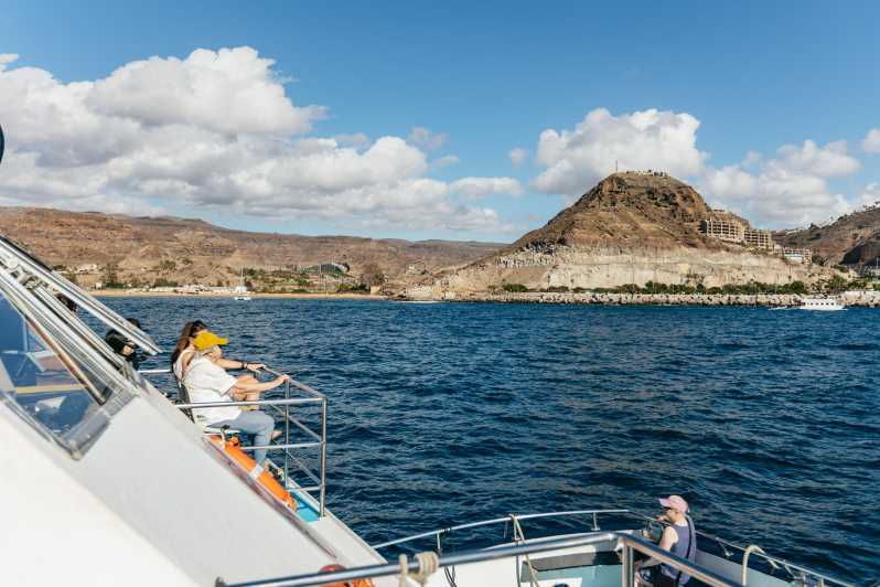From Las Palmas: Highlights of Gran Canaria Day Tour - The Natural Dune Reserve of Maspalomas