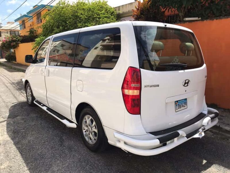 From Las Terrenas: Guided Tour of Los Haitises National Park - An In-Depth Look at the Los Haitises Tour from Las Terrenas