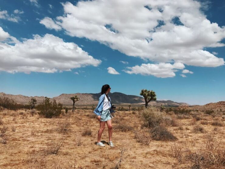 From Las Vegas: 4-Day Hiking and Camping in Joshua Tree - Experience Comfort and Adventure