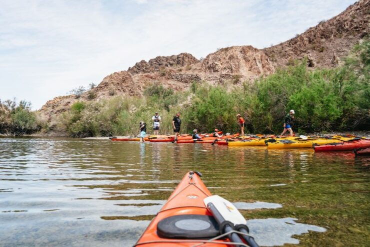 From Las Vegas: Black Canyon Half-Day Kayak Tour - Experience