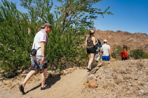 From Las Vegas: Black Canyon Half-Day Kayak Tour - The Sum Up