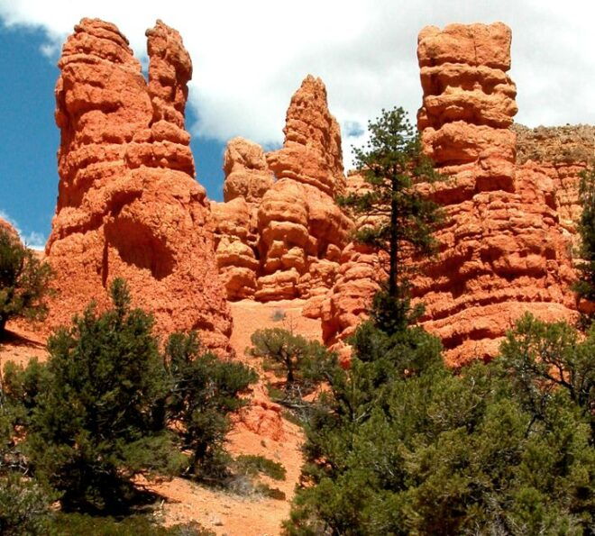 From Las Vegas: Bryce Canyon and Zion Park Combo Tour - Reservation Details