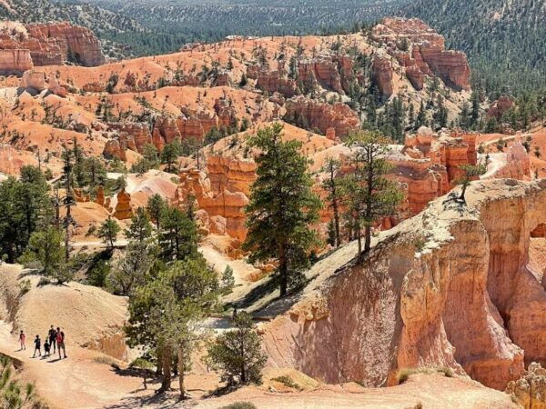 From Las Vegas: Bryce Canyon & Zion National Park Day Trip - Capturing the Beauty: Photography Tips