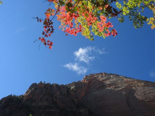 From Las Vegas: Bryce, Zion, and Grand Canyon 3-Day Tour - Grand Canyon