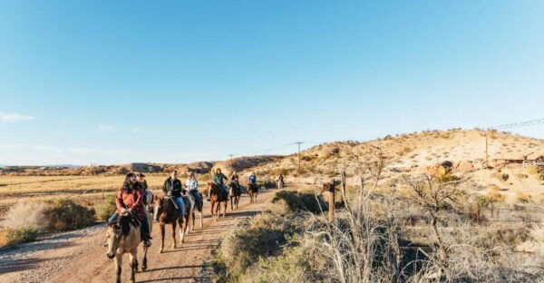 From Las Vegas: Desert Sunset Horseback Ride With BBQ Dinner - Product Details