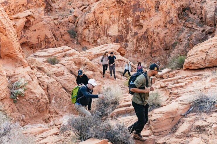 From Las Vegas: Explore the Valley of Fire on a Guided Hike - The Original Experience