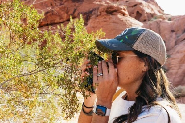 From Las Vegas: Explore the Valley of Fire on a Guided Hike - Customer Reviews and Ratings