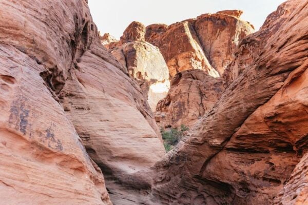 From Las Vegas: Explore the Valley of Fire on a Guided Hike - Common Questions