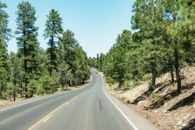 From Las Vegas: Grand Canyon South Rim Day Trip With Lunch - Know Before You Go