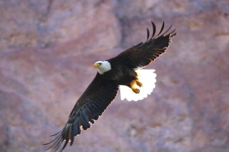 From Las Vegas: Kayak Rental to Emerald Cave Colorado River - Final Thoughts