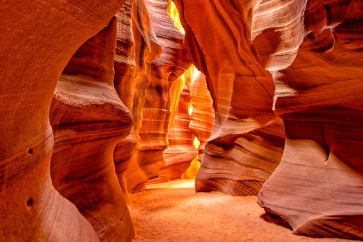 From Las Vegas: Lower Antelope Canyon & Horseshoe Bend Tour - Activity Details