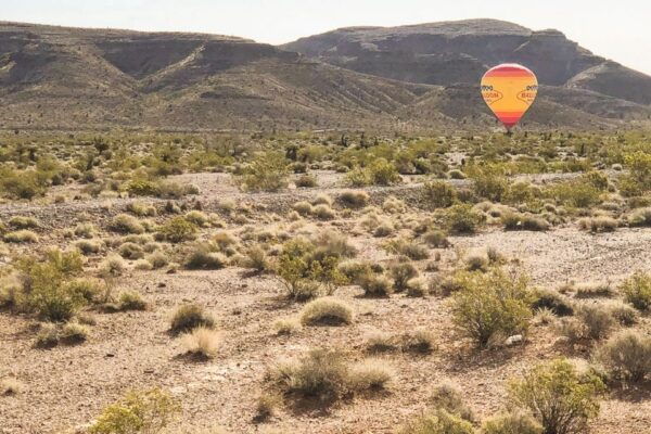 From Las Vegas: Mojave Desert Sunrise Hot Air Balloon Ride - Meeting and Transfer Details