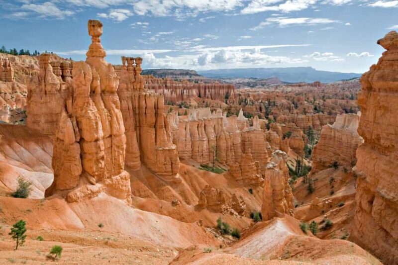 From Las Vegas: Private Bryce Canyon Hiking Tour - The Trails: A Customized Adventure