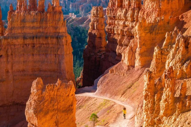 From Las Vegas: Private Bryce Canyon Hiking Tour - The Experience: What You Can Expect