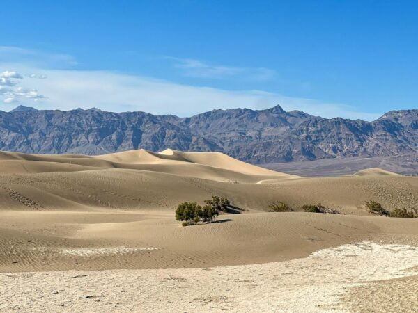 From Las Vegas: Small Group Tour at the Death Valley - Common Questions