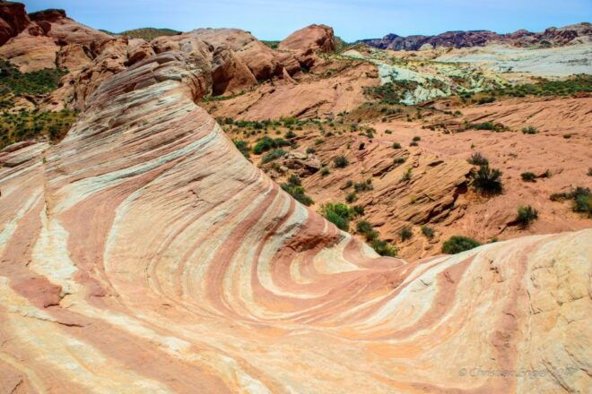 From Las Vegas: Valley of Fire State Park Tour - Nature Immersion