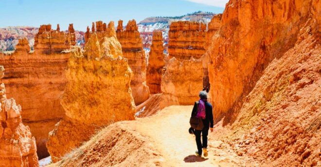 From Las Vegas: Zion and Bryce Canyon Day Trip With Pickup - Tour Itinerary