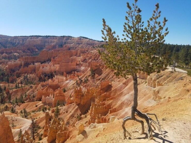 From Las Vegas: Zion and Bryce Canyon Guided Day Tour - Ticket Details and Flexibility