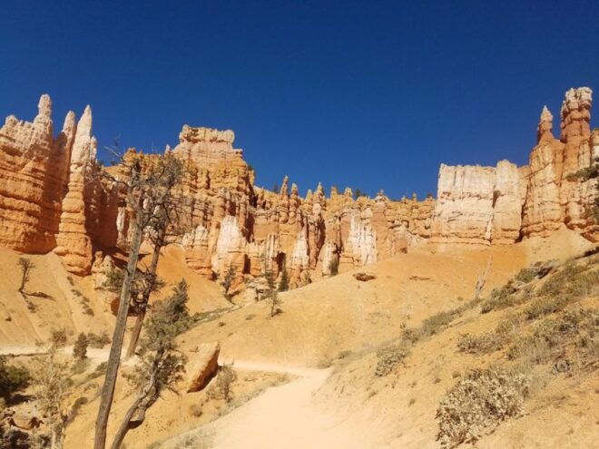 From Las Vegas: Zion and Bryce Canyon Guided Day Tour - Bryce Canyon National Park