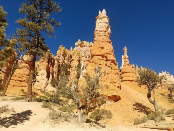 From Las Vegas: Zion and Bryce Canyon Guided Day Tour - The Sum Up