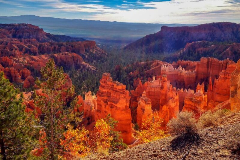 From Las Vegas: Zion and Bryce National Park Overnight Tour - Good To Know