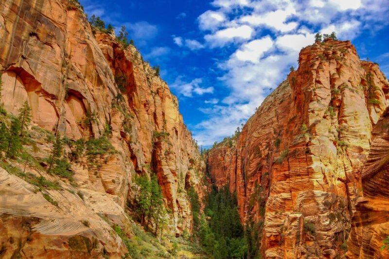 From Las Vegas: Zion and Bryce National Park Overnight Tour - The Guides and Experience