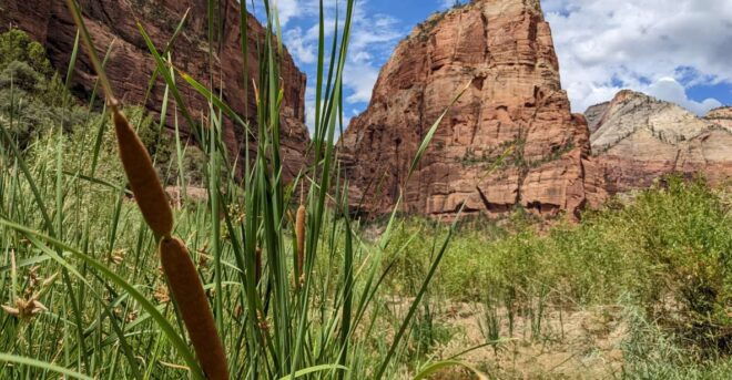 From Las Vegas: Zion National Park Small Group Adventure - Customer Reviews