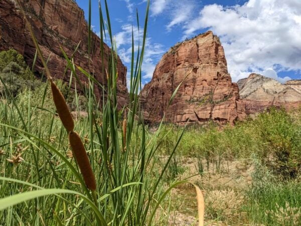 From Las Vegas: Zion National Park Small Group Adventure - Review Summary
